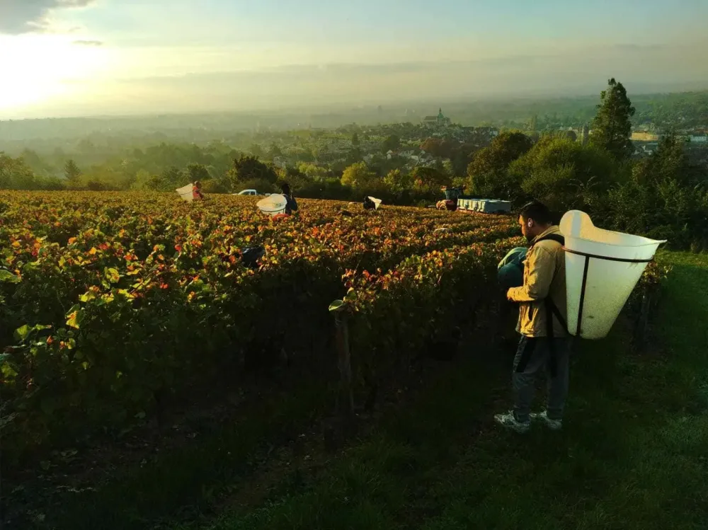 photo page d'accueil - pav NOTRE DOMAINE